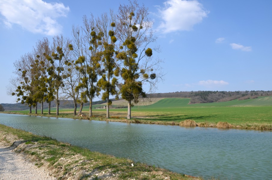 Canal entre Commissey et Tonnerre DSC 0379