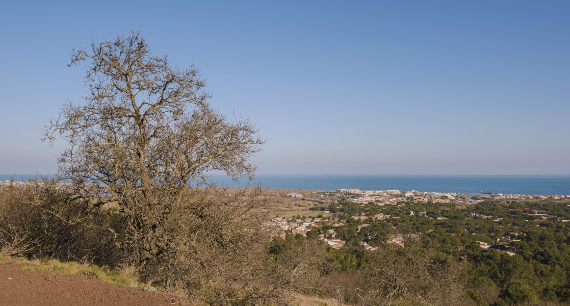 Cap d'agde depuis le Mont Saint-Loup