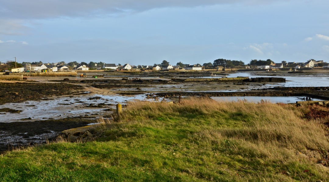 Carnac 56 Vue NW du Pô 2013