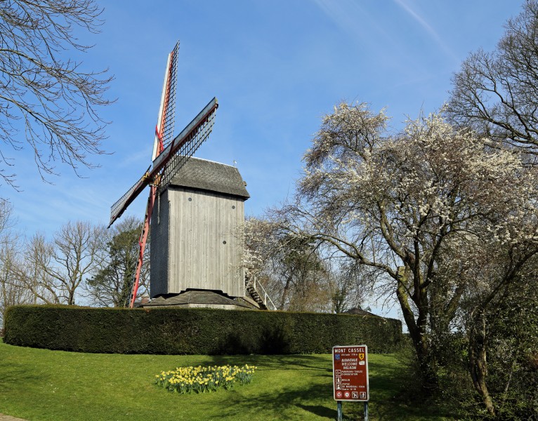 Cassel Moulin R06
