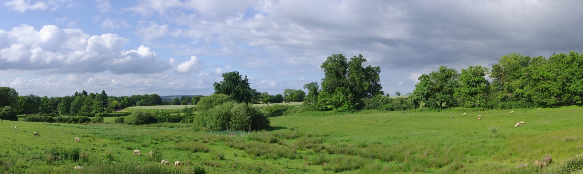 Cassinomagus paysage 2012