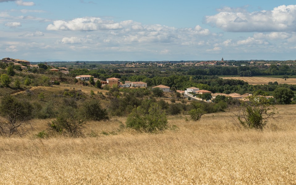 Castelnau-de-Guers, Hérault 07