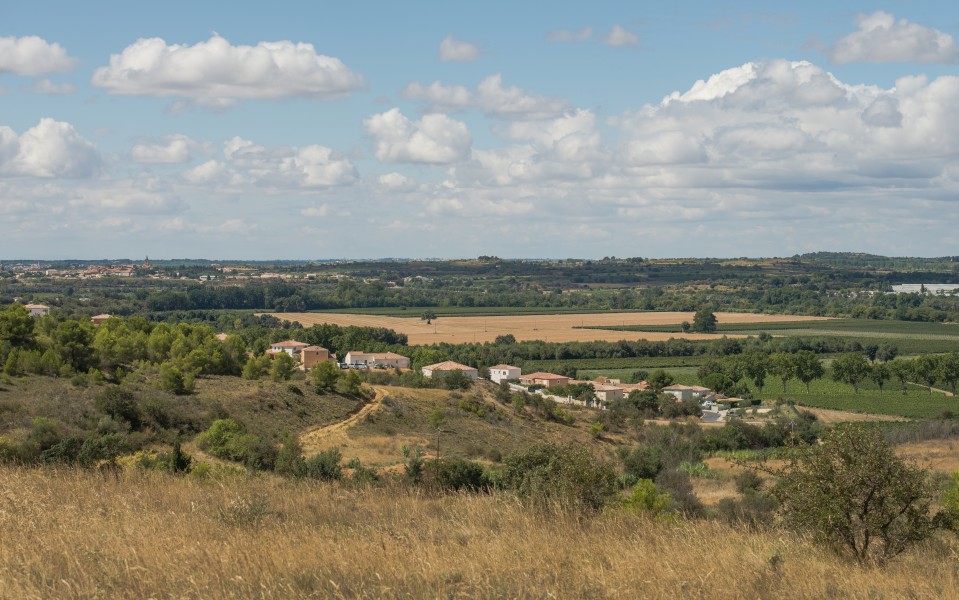 Castelnau-de-Guers, Hérault 16