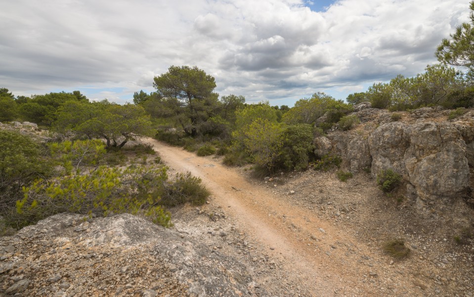 Castelnau-de-Guers, Hérault 19