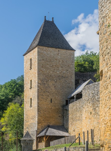 Castle of Castelnaud 06