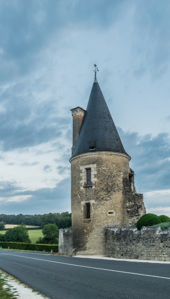 Castle of Montpoupon 03