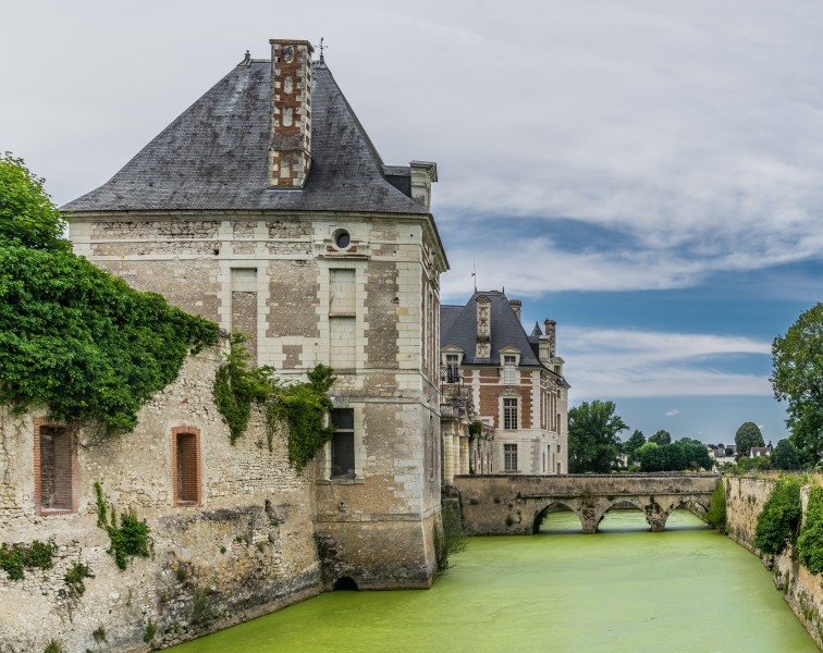 Castle of Selles-sur-Cher 27