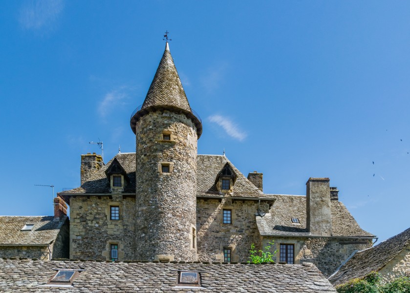 Castle of the family Curieres 04