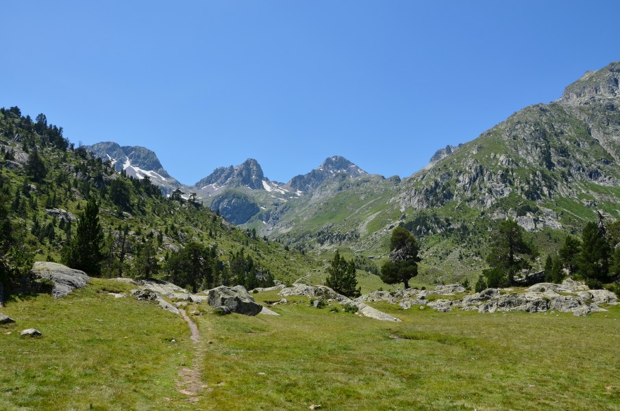 Cauterets 65 Cirque du Marcadau Chemin vers le SSE 2014