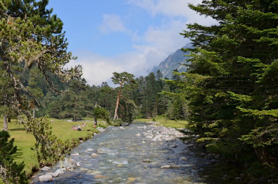 Cauterets 65 Gave du Marcadau près Pont d'Espagne 2014