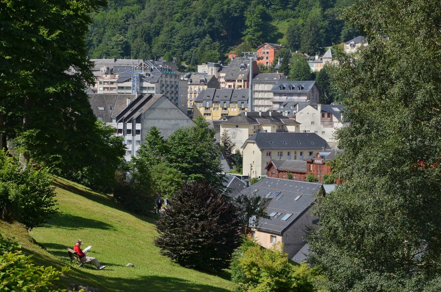 Cauterets 65 Toits d'ardoise 2014