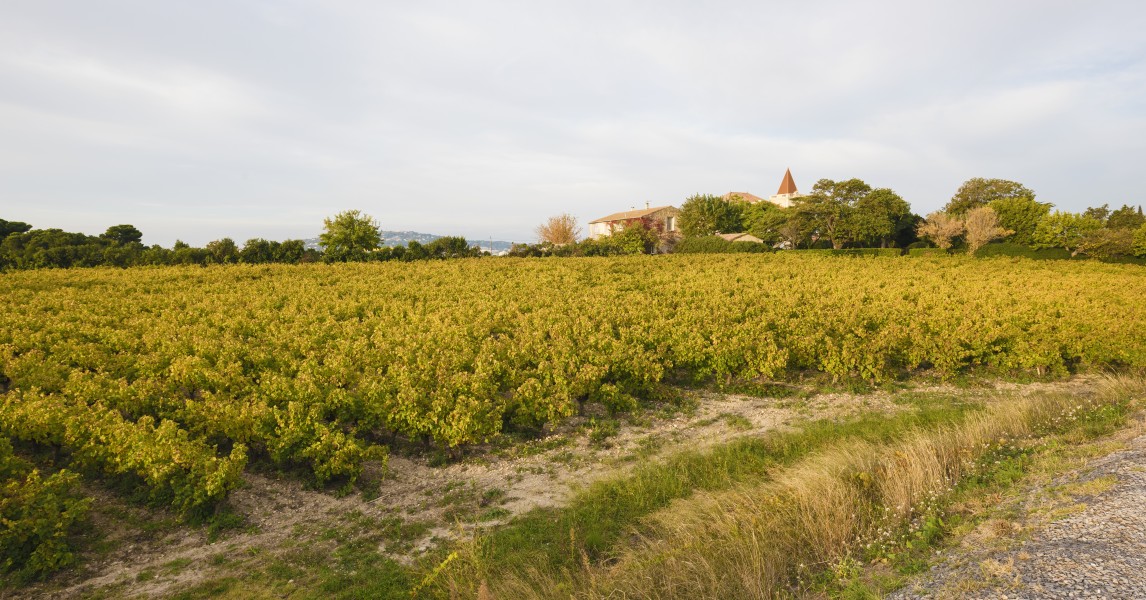 Château de La Peyrade Frontignan 02