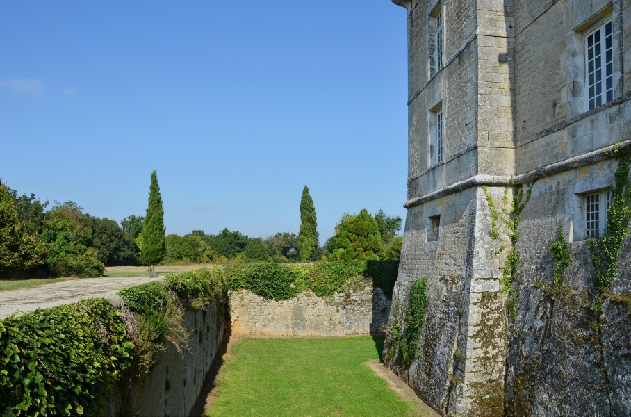 Cherves-Richemont 16 Château Chesnel Douves&muraille NW 2014