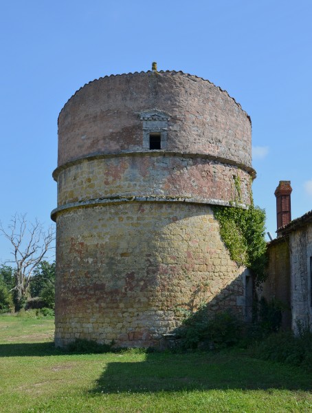 Cherves-Richemont 16 Château Chesnel pigeonnier 2014