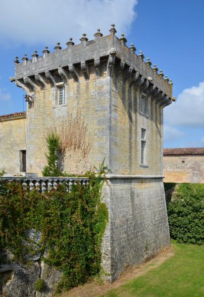 Cherves-Richemont 16 Château Chesnel Tour NE&douves 2014