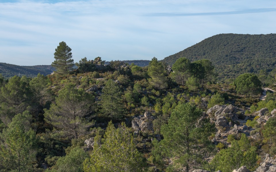 Cirque de Mourèze, Hérault 10