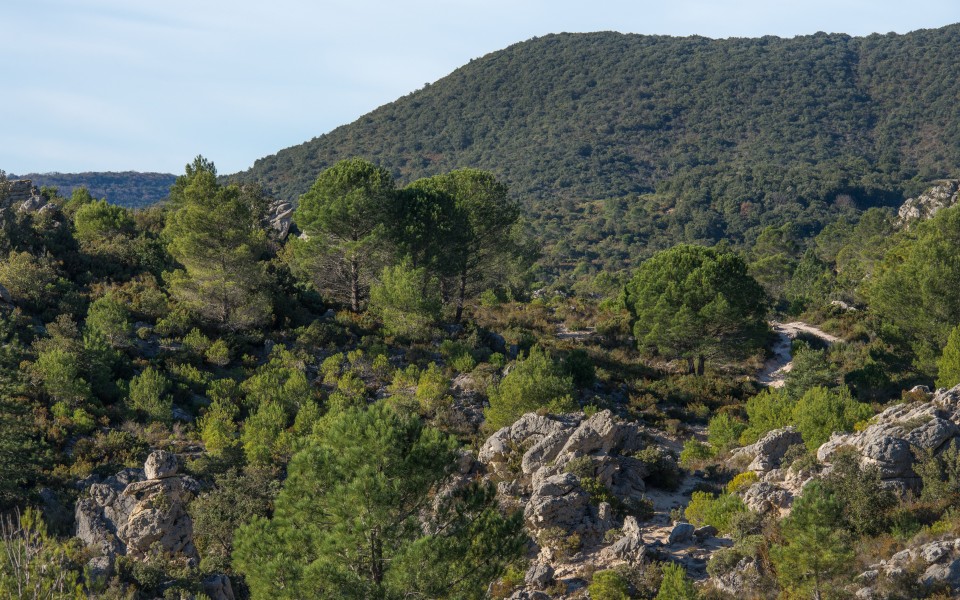 Cirque de Mourèze, Hérault 11