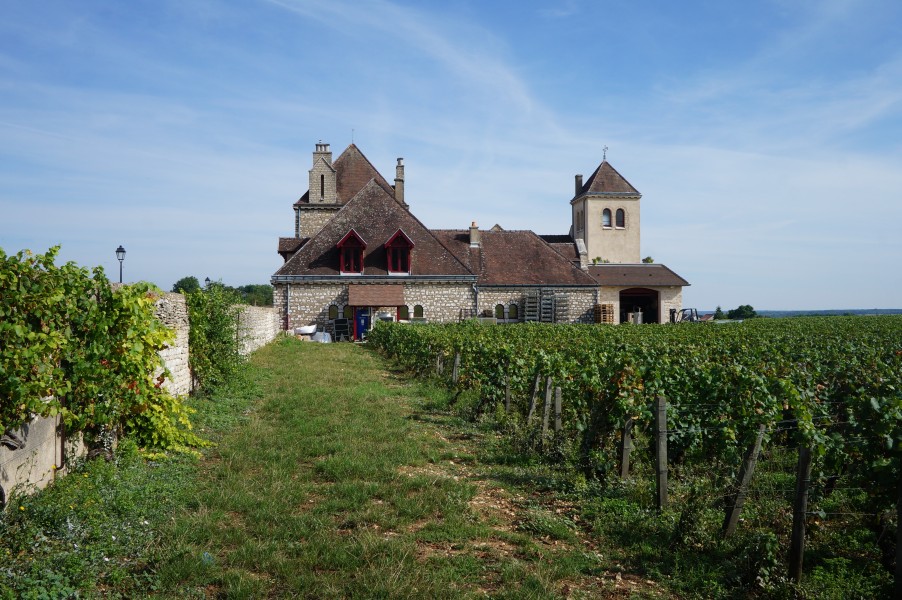 Clos de Vougeot Chateau de la Tour (2)