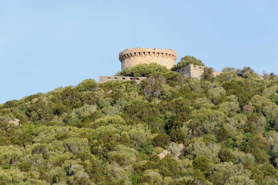 Corse Campomoro tour genoise