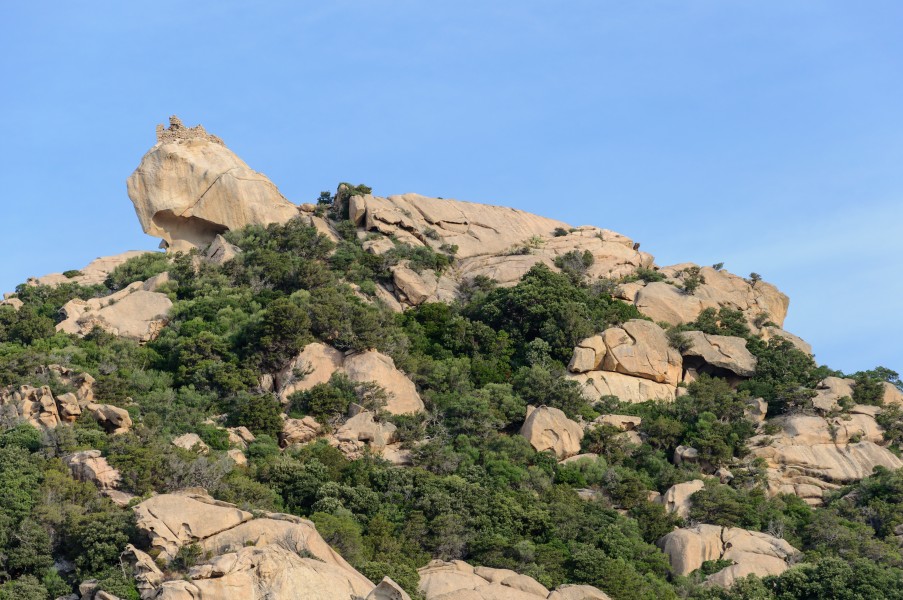 Corse Lion de Roccapina