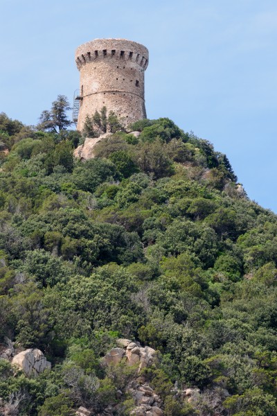 Corse tour genoise Capu di Muru