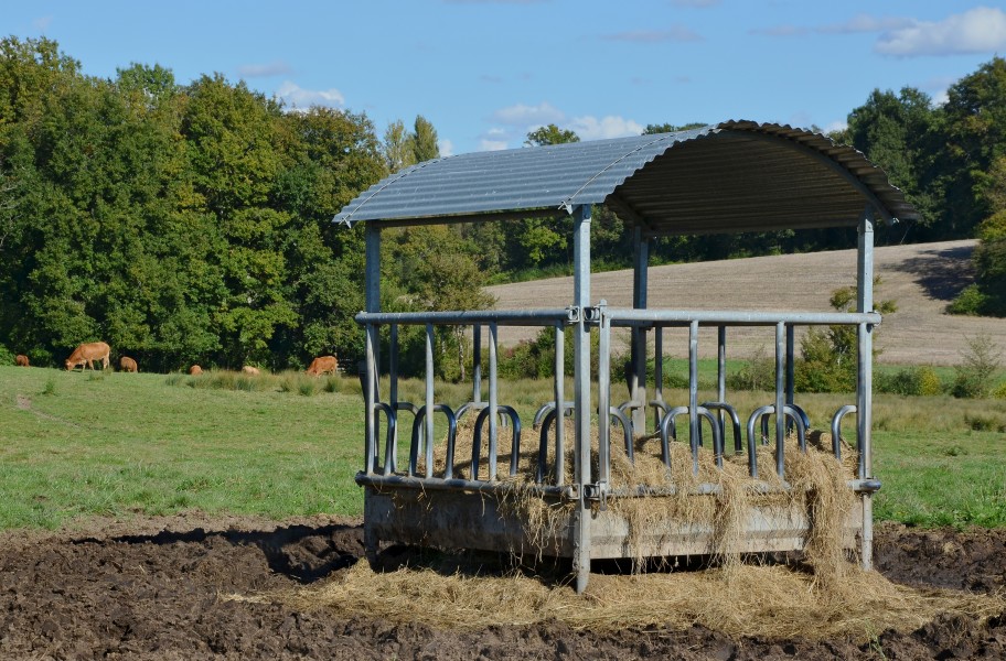 Courgeac 16 Mangeoire 2014