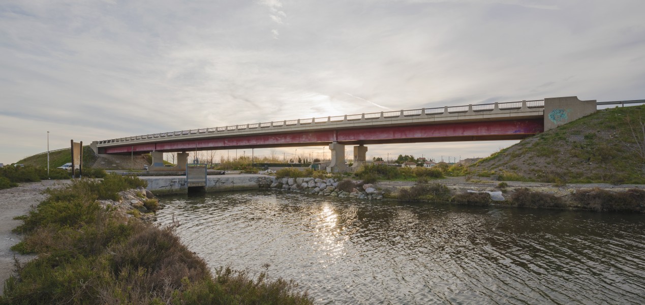D612 Bridge, Frontignan 02