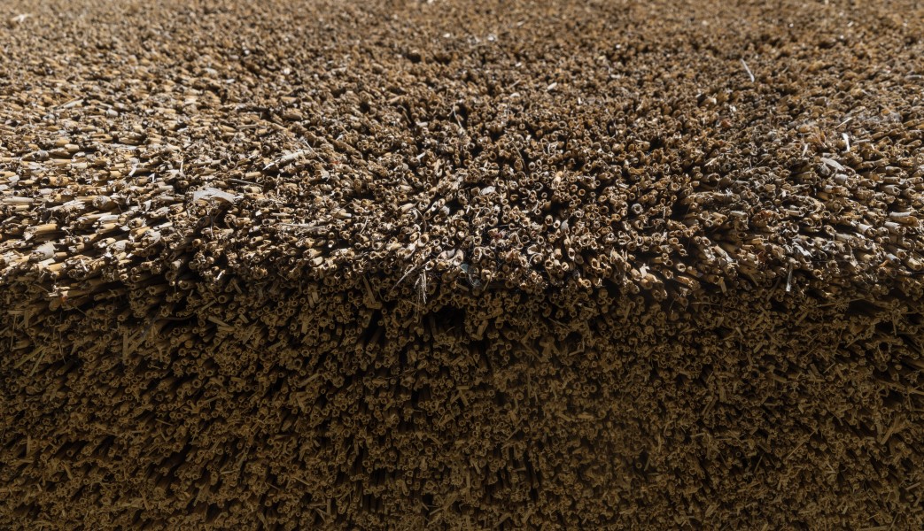 Detail thatched roof Normandy