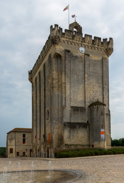 Donjon de Pons août 2015 Charente-Maritime
