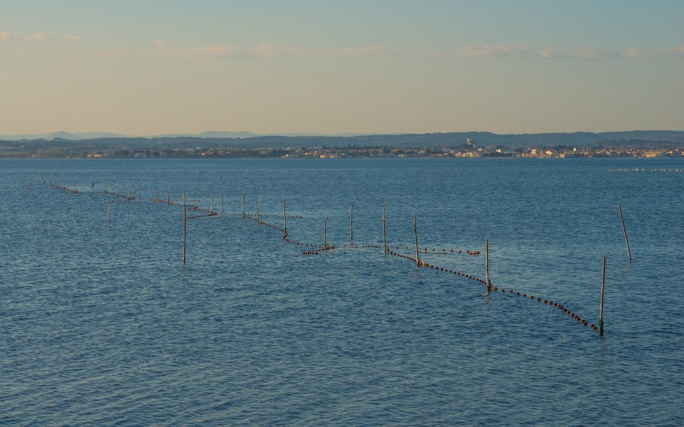 Fishing net, Étang de Thau, Hérault 01