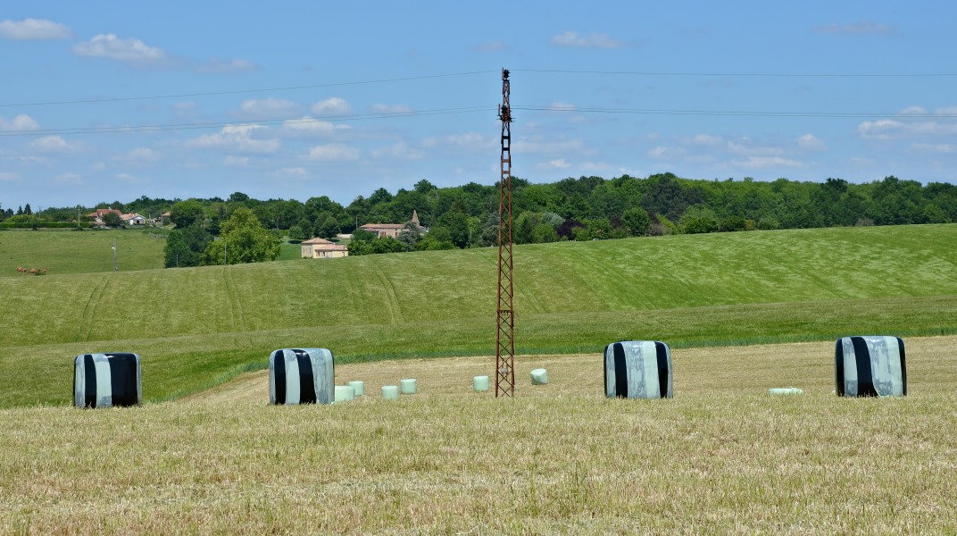 Gardes-le-Pontaroux 16 Champs près D939 2014
