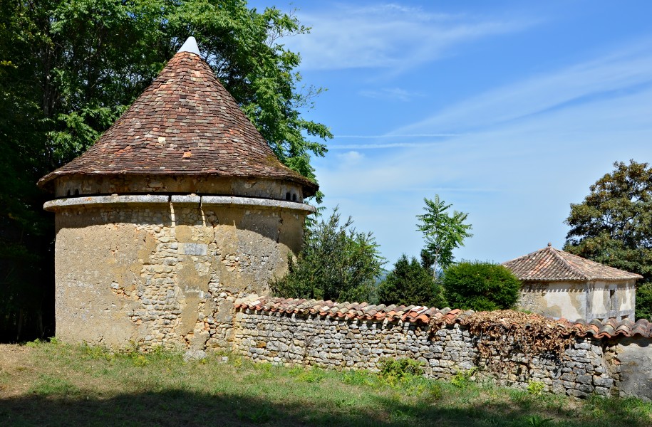 Grassac 16 La Bréchinie pigeonnier 2013