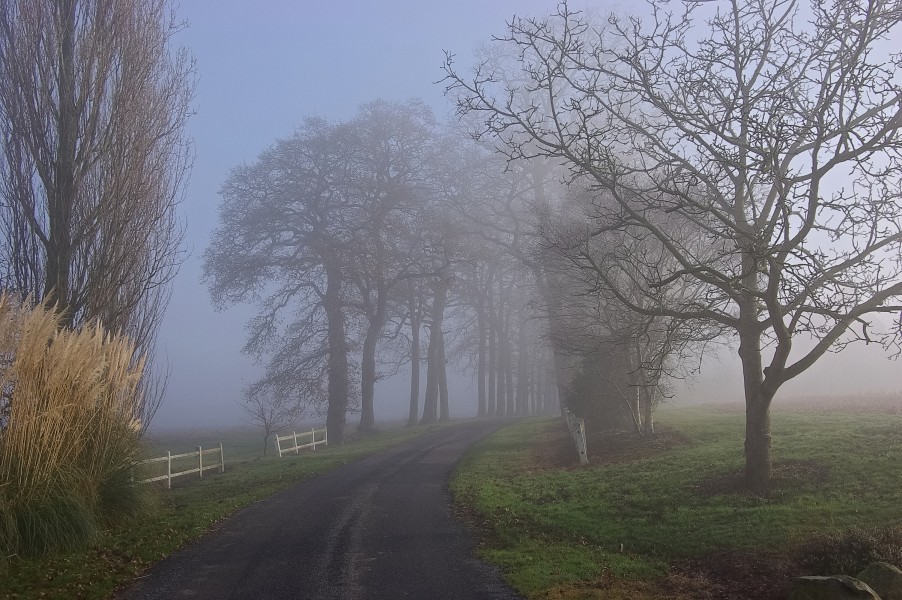 Hénanbihen 21 Brouillard 2007