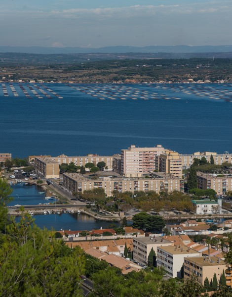 Ile de Thau, Sète, Hérault 03