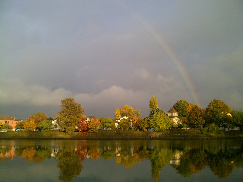 Joinville-le-Pont-20111101-00337