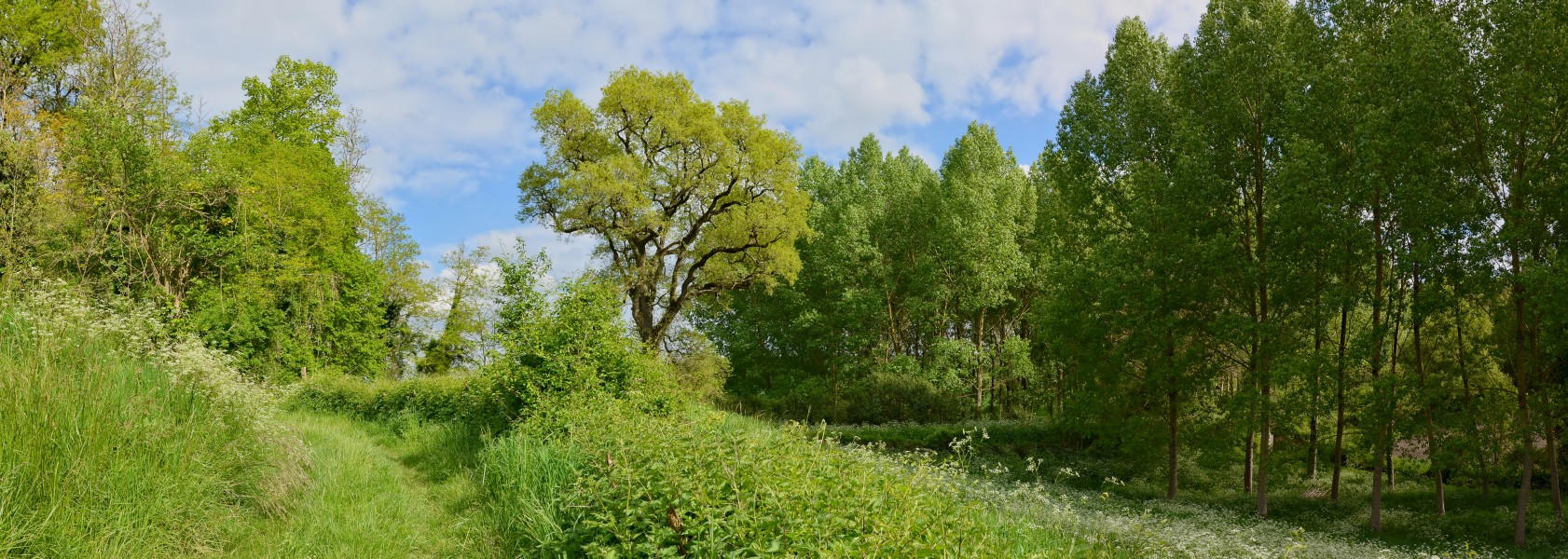 Juignac 16 Chemin rural 2014