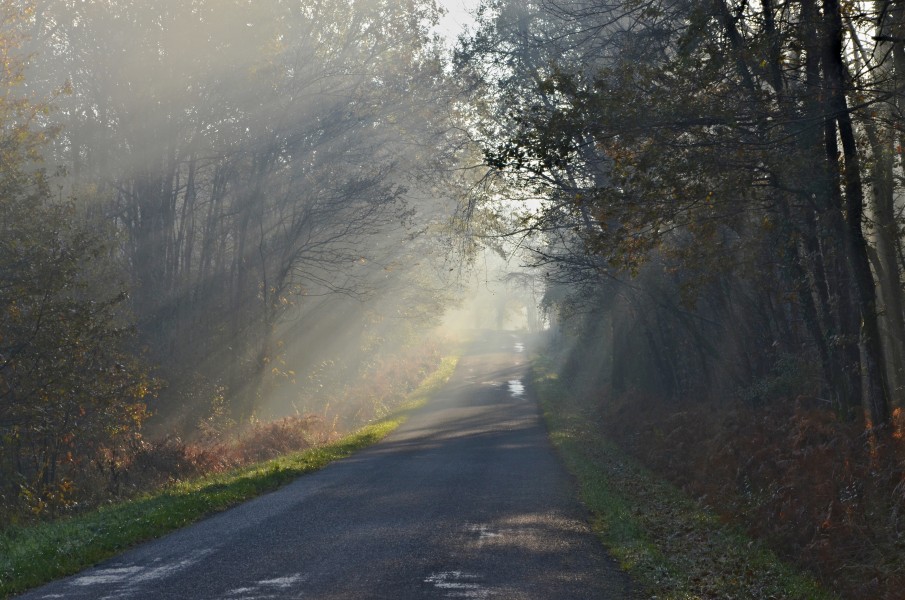 Juillaguet-16 Brume D19 2013