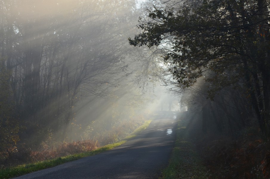 Juillaguet 16 Brume2 D19 2013