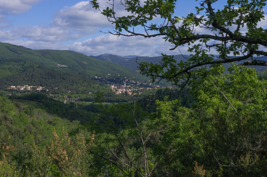 Lamalou-Les-Bains from Les Aires, Hérault
