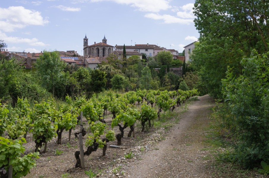 Les Aires, Hérault 03