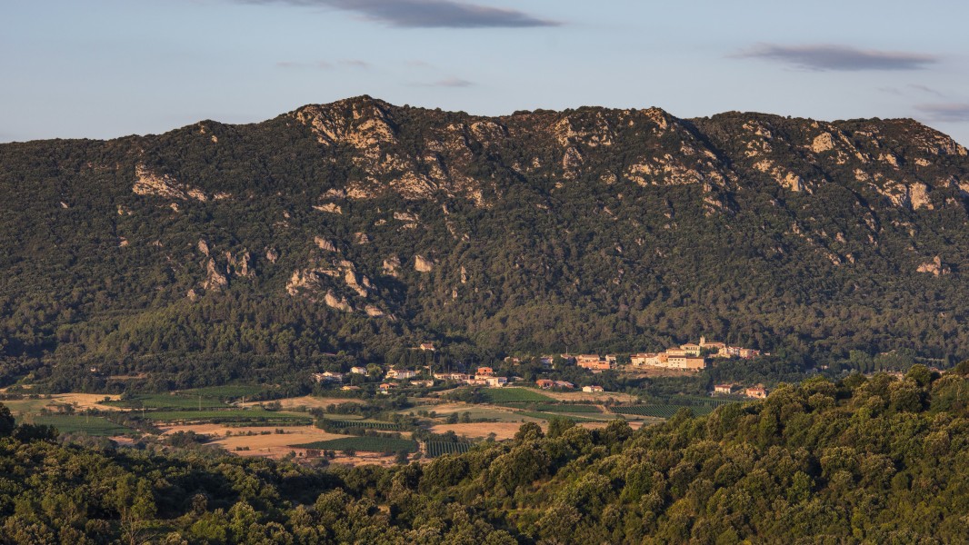Liausson, Hérault cf01
