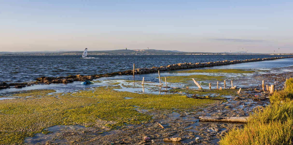 Lido de Thau, Sète cf05