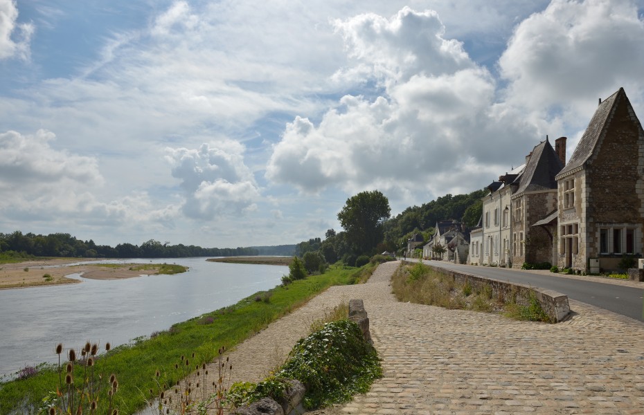 Loire from Notre Dame de Cunault