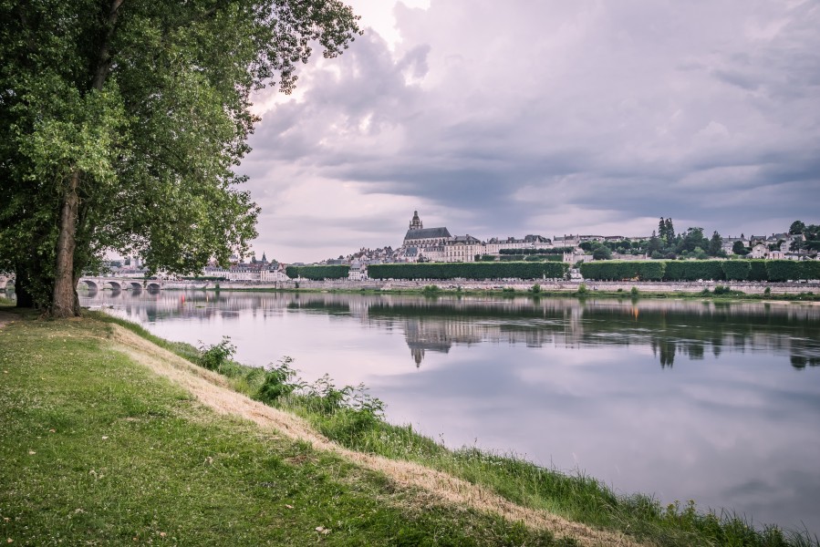 Loire River in Blois 02