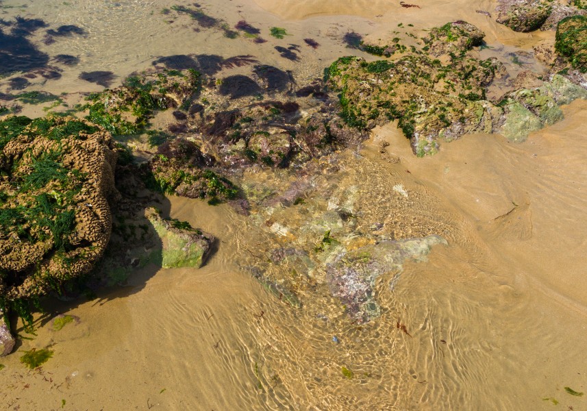 Marée descendante, Sainte-Marie, Ré island, august 2015