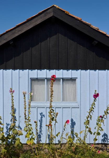 Marennes 17 Cabane vue lat. 2014