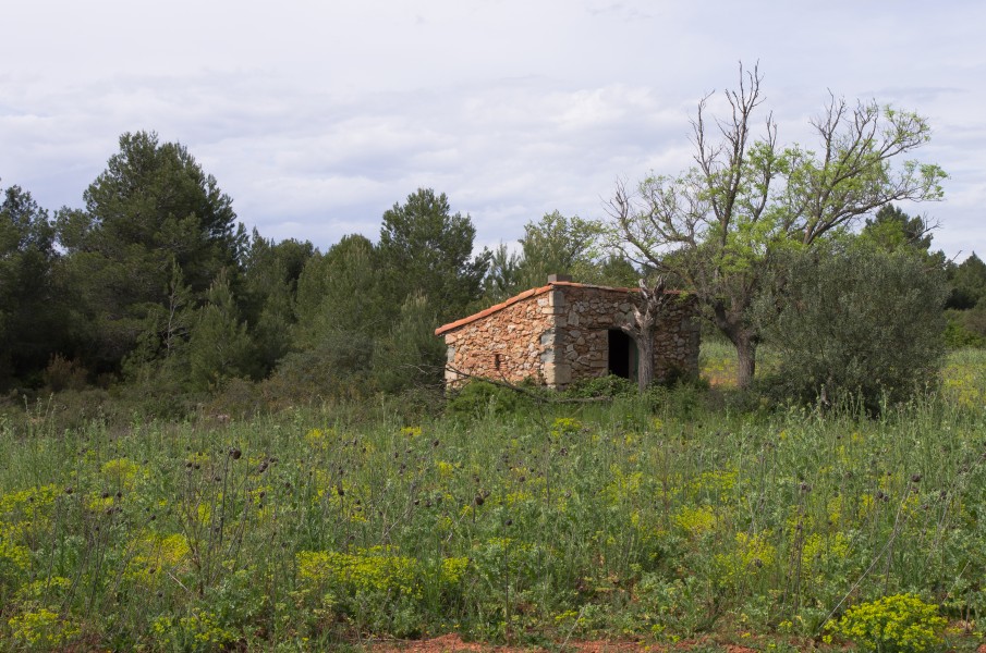 Mazet et friches, Pinet, Hérault 01