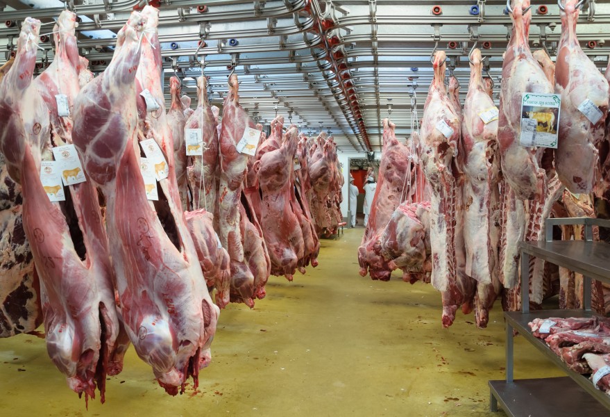 MIN Rungis viandes de boucherie veau