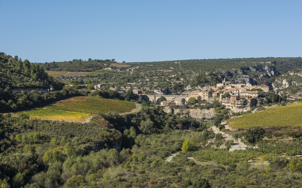 Minerve cf01