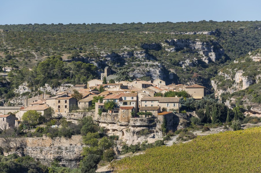 Minerve cf02